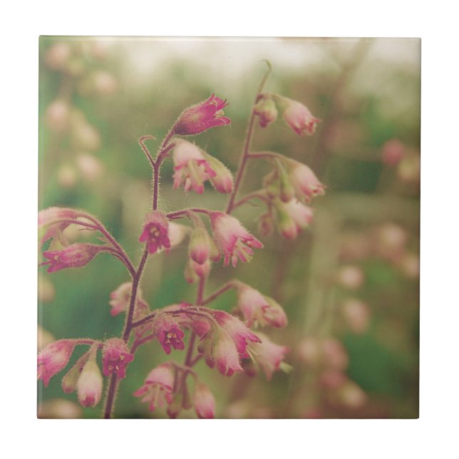 Corelbells, Spring Flowers Ceramic Tile (Front)