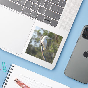 Corella Bird Sticker