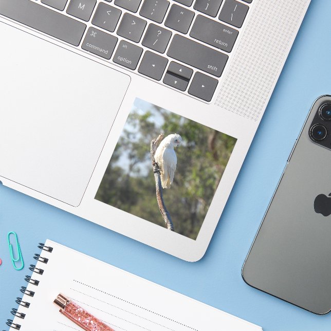Corella Bird Sticker (Laptop w/ iPhone)