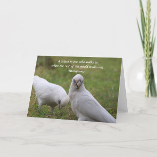 Corella Friendship Quote Greeting Card