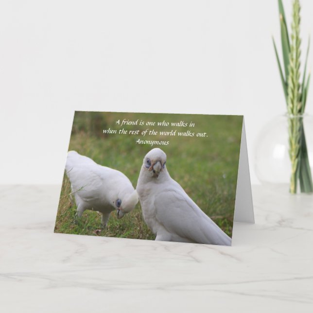 Corella Friendship Quote Greeting Card (Front)