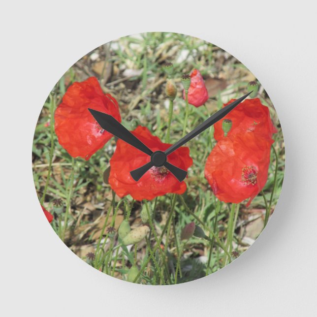 Corfu Red Poppies Round Clock (Front)
