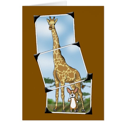 Corgi and Giraffe Snapshots Cards (Front)