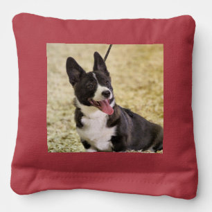 Corgi and shelty  cornhole bags