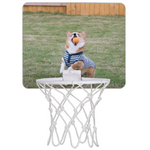 corgi basketball hoop