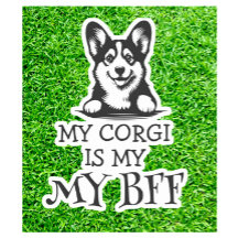 Corgi Best Furry Friend Theme