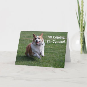 Corgi Birthday Card