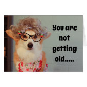 Corgi Birthday card (Front Horizontal)