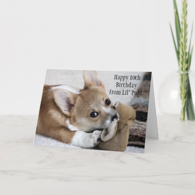 Corgi Birthday Wishes Card (Front)