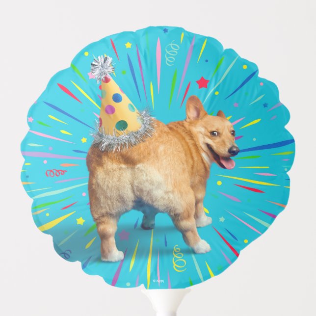Corgi Butt Birthday Hat Balloon (Front)