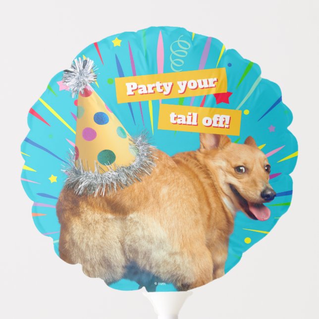 Corgi Butt Birthday Hat Balloon (Front)