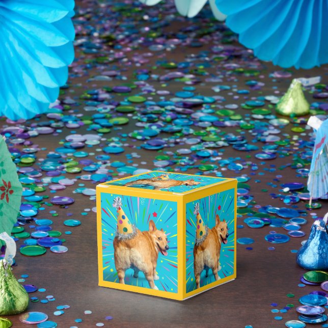 Corgi Butt Birthday Hat Favor Boxes (Party)