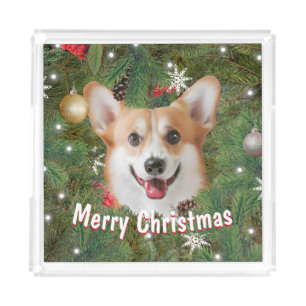 Corgi Christmas Acrylic Tray