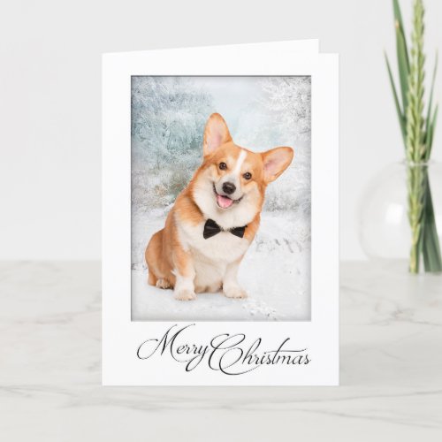 Corgi Christmas Card