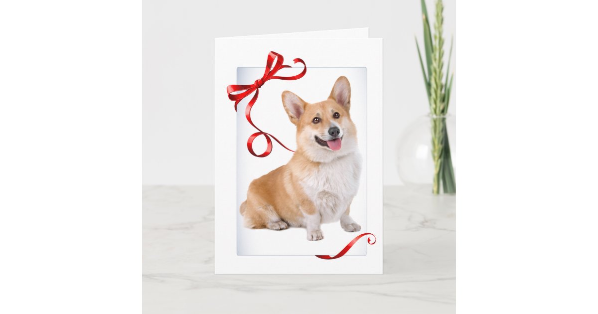 CAIRN TERRIER AND CORGI SINGLE DOG PRINT GREETING CHRISTMAS CARD 