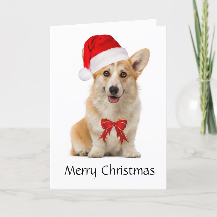 Corgi Christmas card | Zazzle.com
