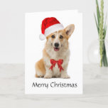 Corgi Christmas Card at Zazzle