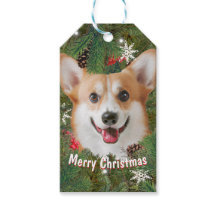 Corgi Christmas