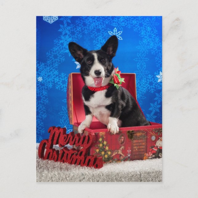 Corgi Christmas Holiday Postcard (Front)