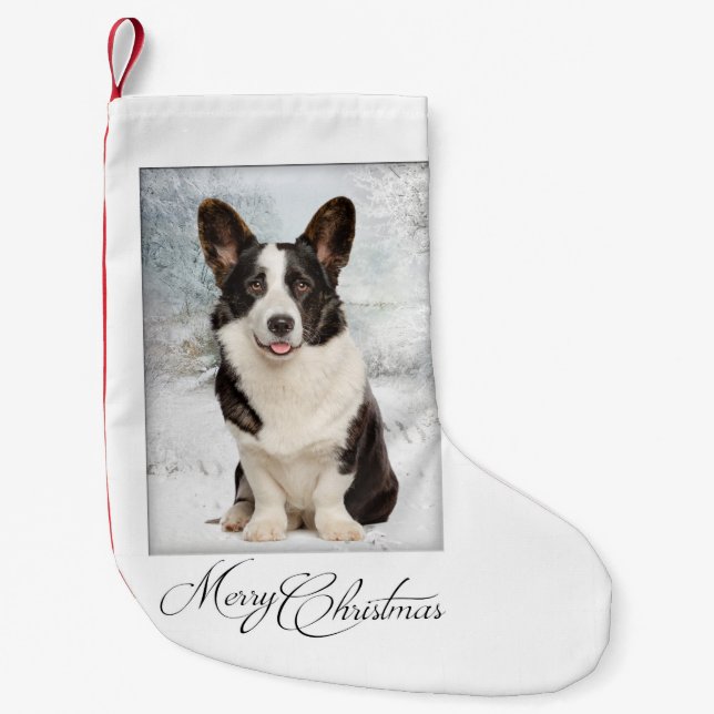 Corgi Christmas Small Christmas Stocking (Front)