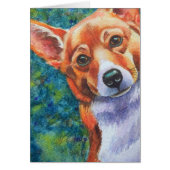 Corgi Curious Dog (Front)