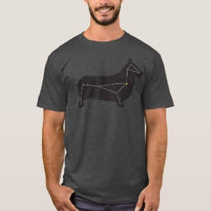 Corgi Cute Constellation Dog Tee for Pet Parents