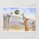 Corgi dog beach volleyball postcard