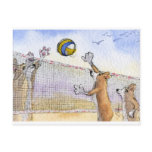 Corgi dog beach volleyball postcard Corgi dog beach volleyball postcard