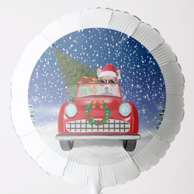 Corgi Dog Driving Car In Snow Christmas  Balloon (Front)