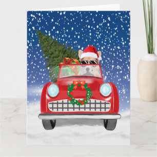Corgi Dog Driving Car In Snow Christmas Card
