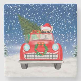 Corgi Dog Driving Car In Snow Christmas Stone Coaster