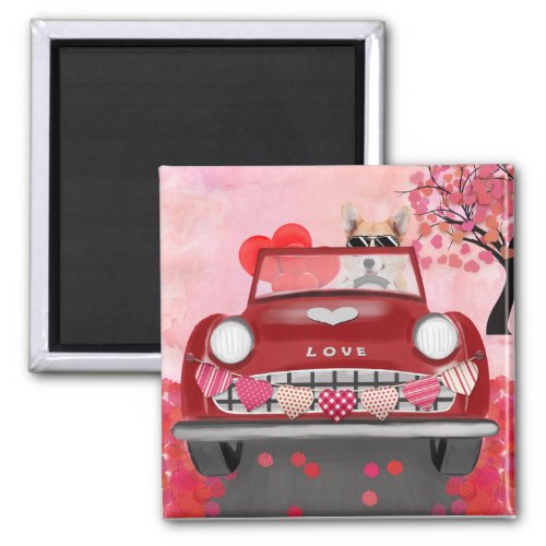 Corgi Dog Driving Car with Hearts Valentines   Magnet