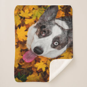 Corgi Dog Gifts  Corgi Dog Sherpa Blanket