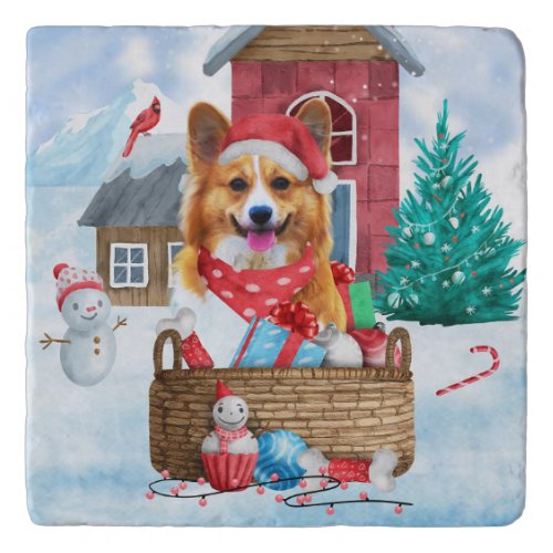 Corgi Dog In snow Christmas Dog House  Trivet