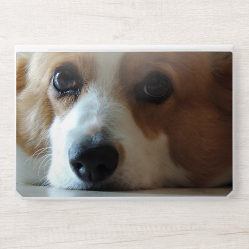 Corgi Dog Photo or Yours  Adorable Puppy Eyes HP Laptop Skin