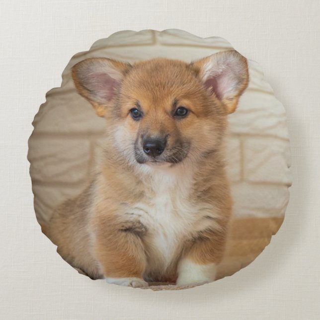 Corgi Dog Photo Round Pillow (Front)