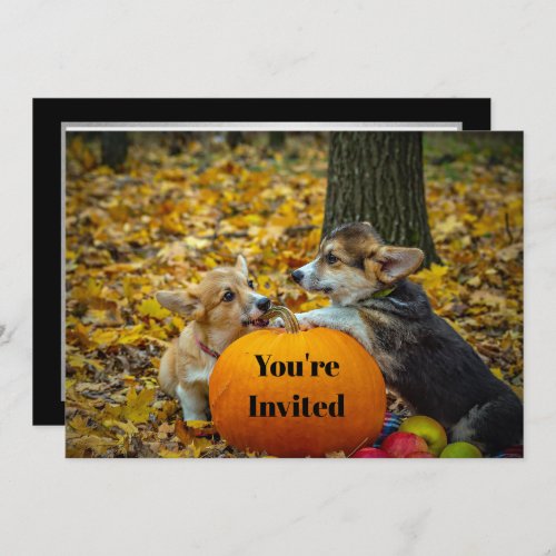 Corgi Dog Pumpkin Autumn Photo Birthday Invitation