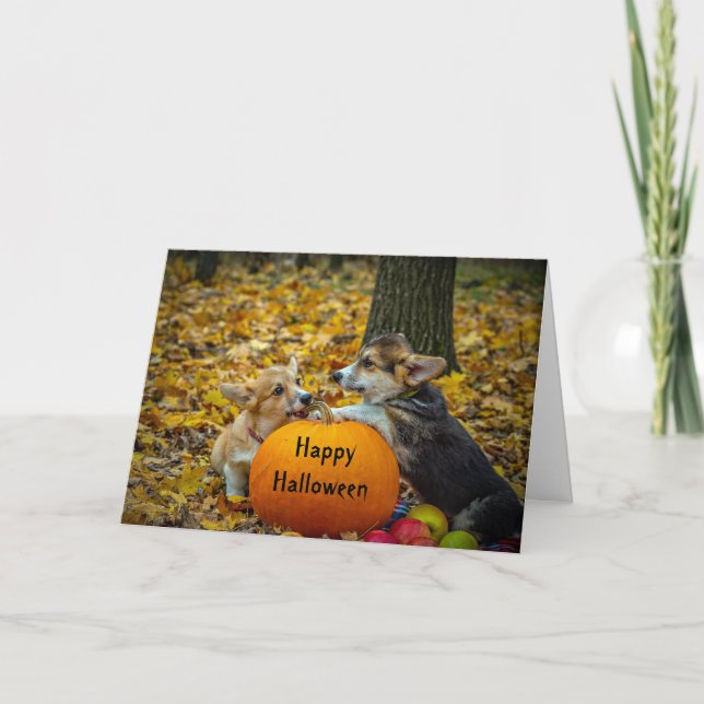 Corgi Dog Pumpkin Autumn Photo Halloween Card (Front)