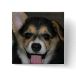 Corgi Dog Square Pin