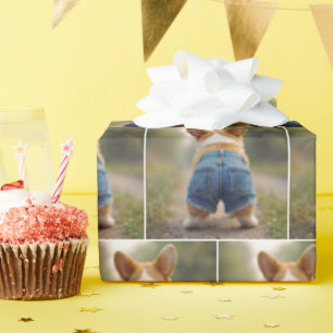 Corgi Dog Wearing Denim Shorts Wrapping Paper