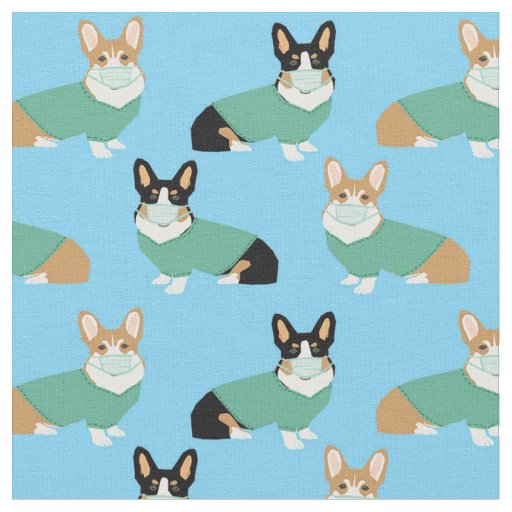 corgi dogs in scrubs light blue fabric