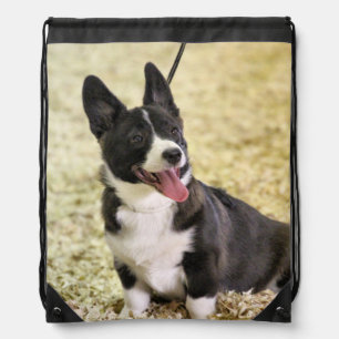 Corgi Drawstring Bag