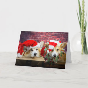 Corgi Elf Christmas Card