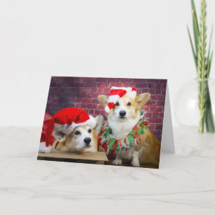 Corgi Elf Christmas Card