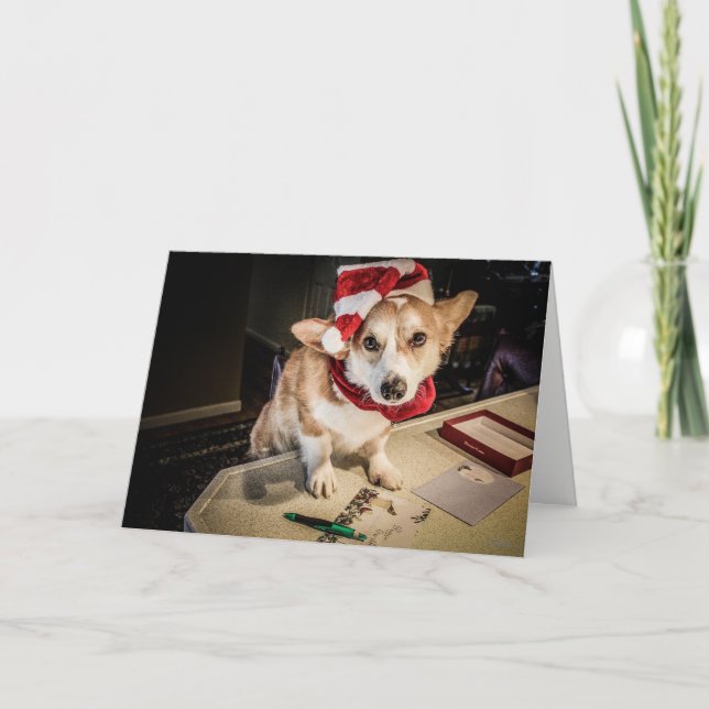 Corgi Elf Christmas Card (Front)