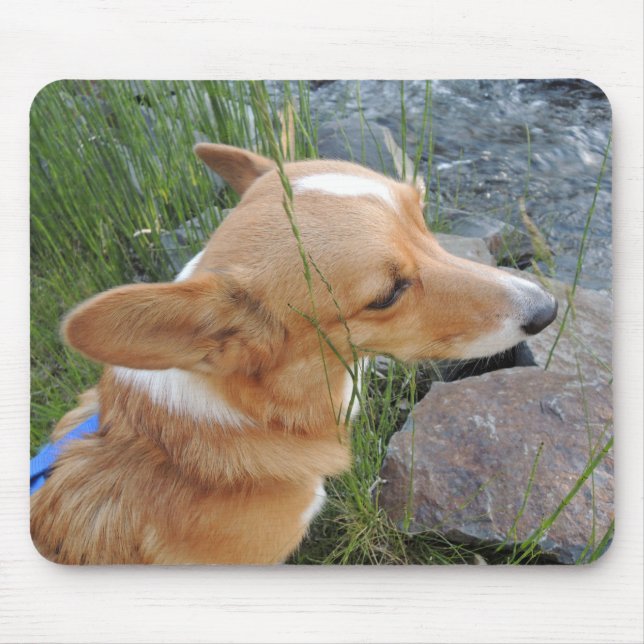 Corgi Fairy Hunter Mousepad (Front)