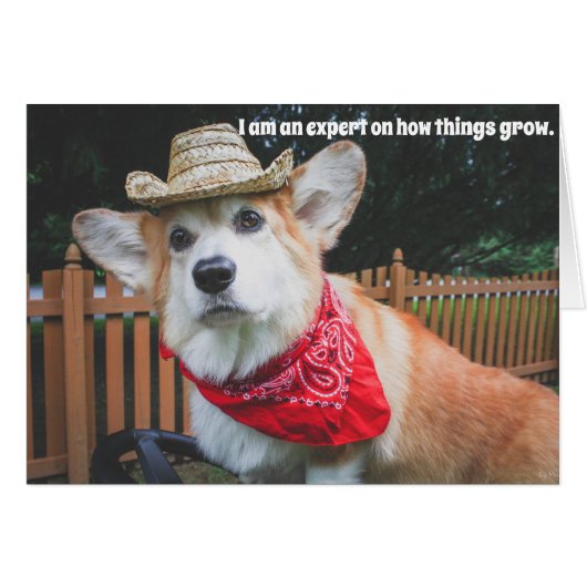 Corgi Farmer Birthday Card (Front Horizontal)