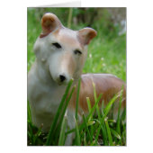 Corgi Figurine (Front)