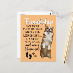 Corgi Friendship Isn't About Whom You Have Known T Postcard