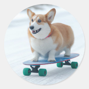 Corgi fun skateboarding classic round sticker